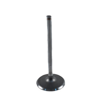 WSM Intake Valve Fits Can-am