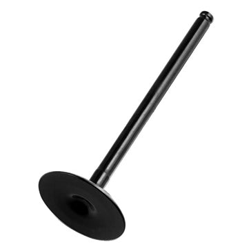 Hot Cams Exhaust Valve - Steel & titanium