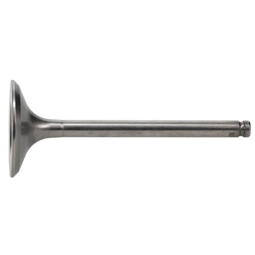 Hot Cams Exhaust Valve - Steel & titanium