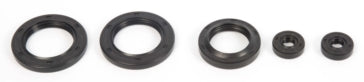 VertexWinderosa Oil Seal Sets Fits Polaris -