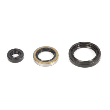 VertexWinderosa Oil Seal Sets Fits Polaris -