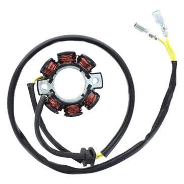 ElectroSport Stator Fits KTM -