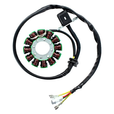 ElectroSport Stator Fits KTM -