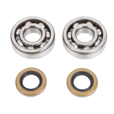 All Balls Crankshaft Bearing and Seal Kit Fits KTM - Dirt bikes