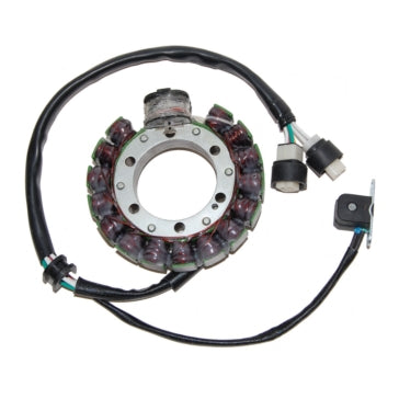 ElectroSport Stator Fits Yamaha