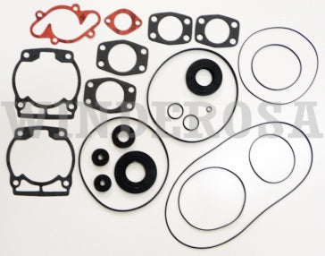 VertexWinderosa Professional Complete Gasket Sets with Oil Seals Fits Ski-doo - 09-711165C