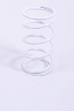 EPI Primary Clutch Spring (Drive)