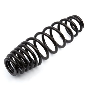 EPI Suspension Spring