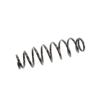 EPI Suspension Spring