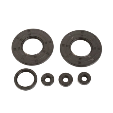 VertexWinderosa Crankcase Oil Seal Sets Fits Ski-doo - 09-55181