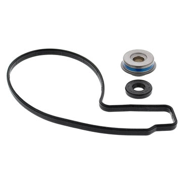 VertexWinderosa Water Pump Repair Kit Fits Sea-doo