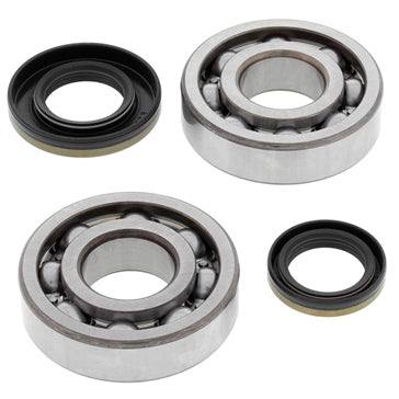 All Balls Crankshaft Bearing and Seal Kit Fits Suzuki - Dirt bikes