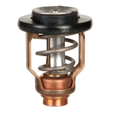 Sierra Thermostat Fits Yamaha - 67F-12411-01-00
