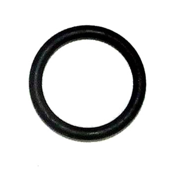 WSM O-Ring