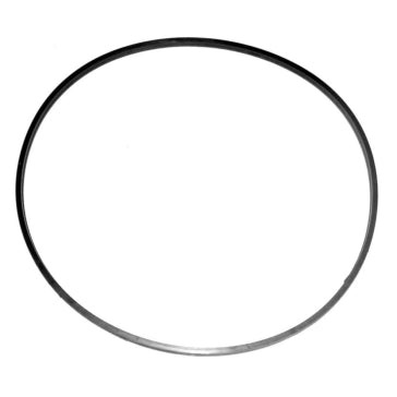 WSM O-Ring