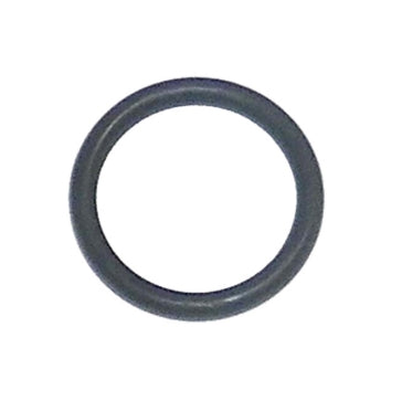 WSM O-Ring