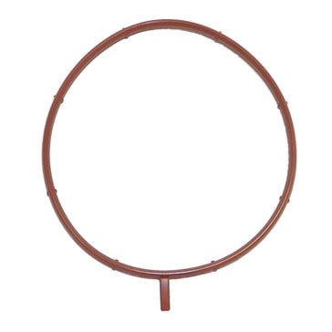 WSM O-Ring