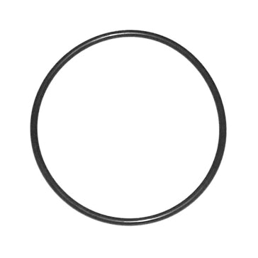 WSM O-Ring