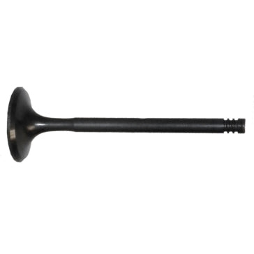 WSM Exhaust Valve