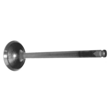 WSM Exhaust Valve
