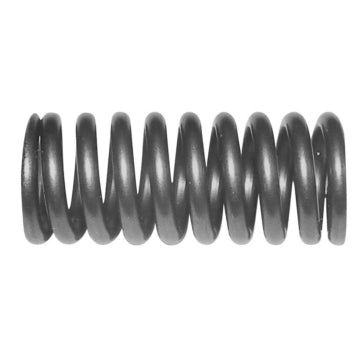 WSM Valve Spring