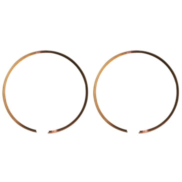 WSM Piston Ring Set SEA-DOO