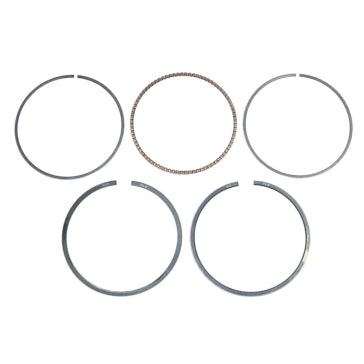 WSM Piston Ring Set Fits Sea-doo