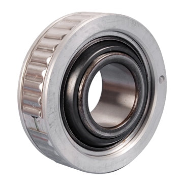 BRP Evinrude Bearings