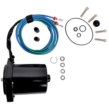 BRP Evinrude Motor and O-Ring Kit