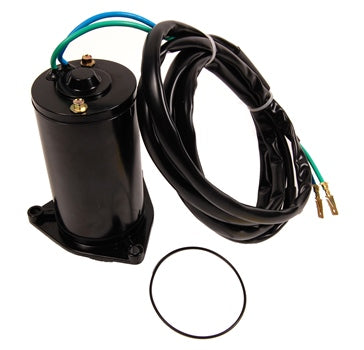 BRP Evinrude Motor and Cable