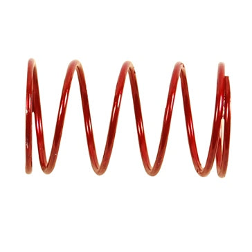 BRP Evinrude Thermostat Spring